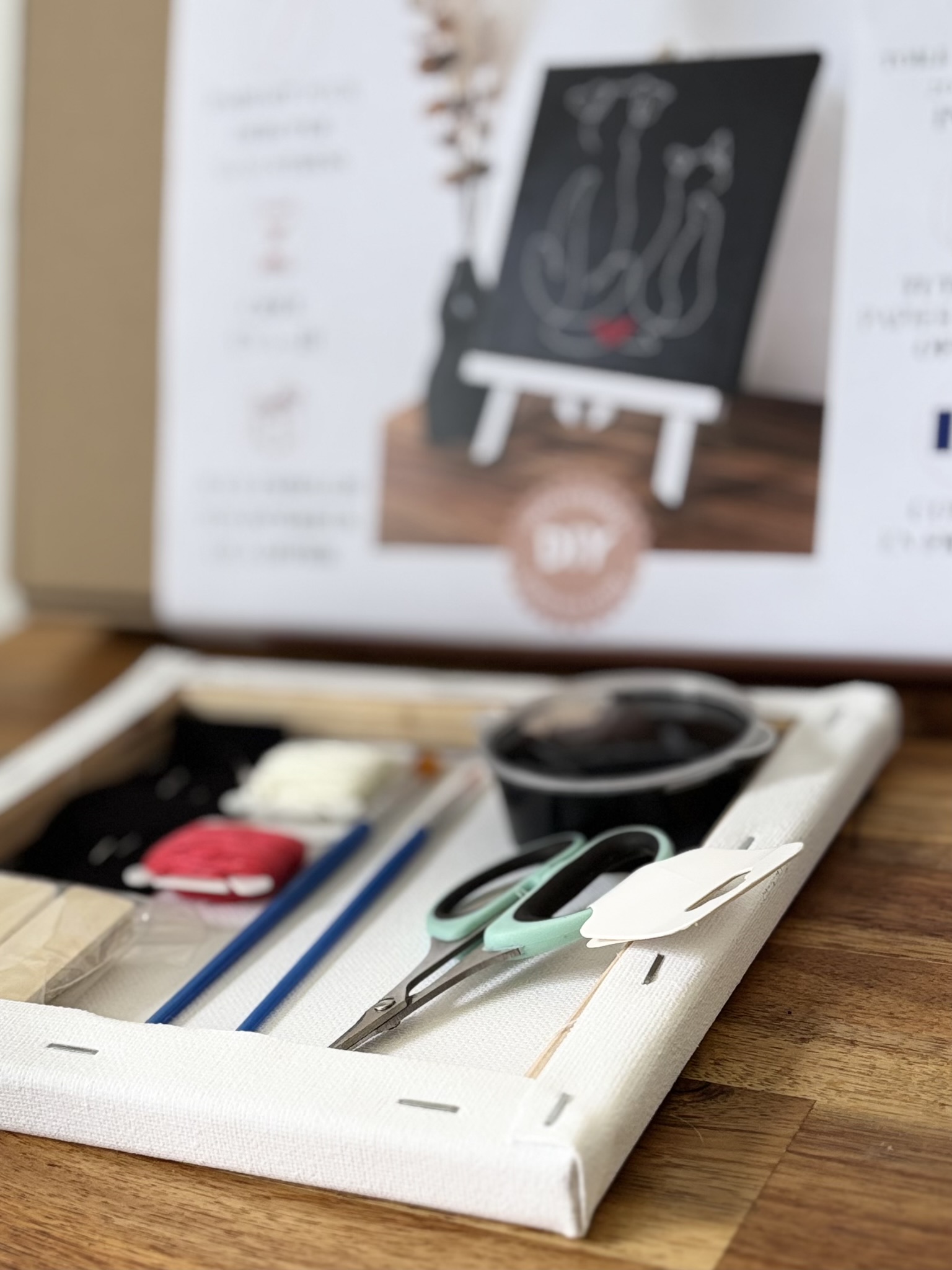 kit diy "duo canin et félin"